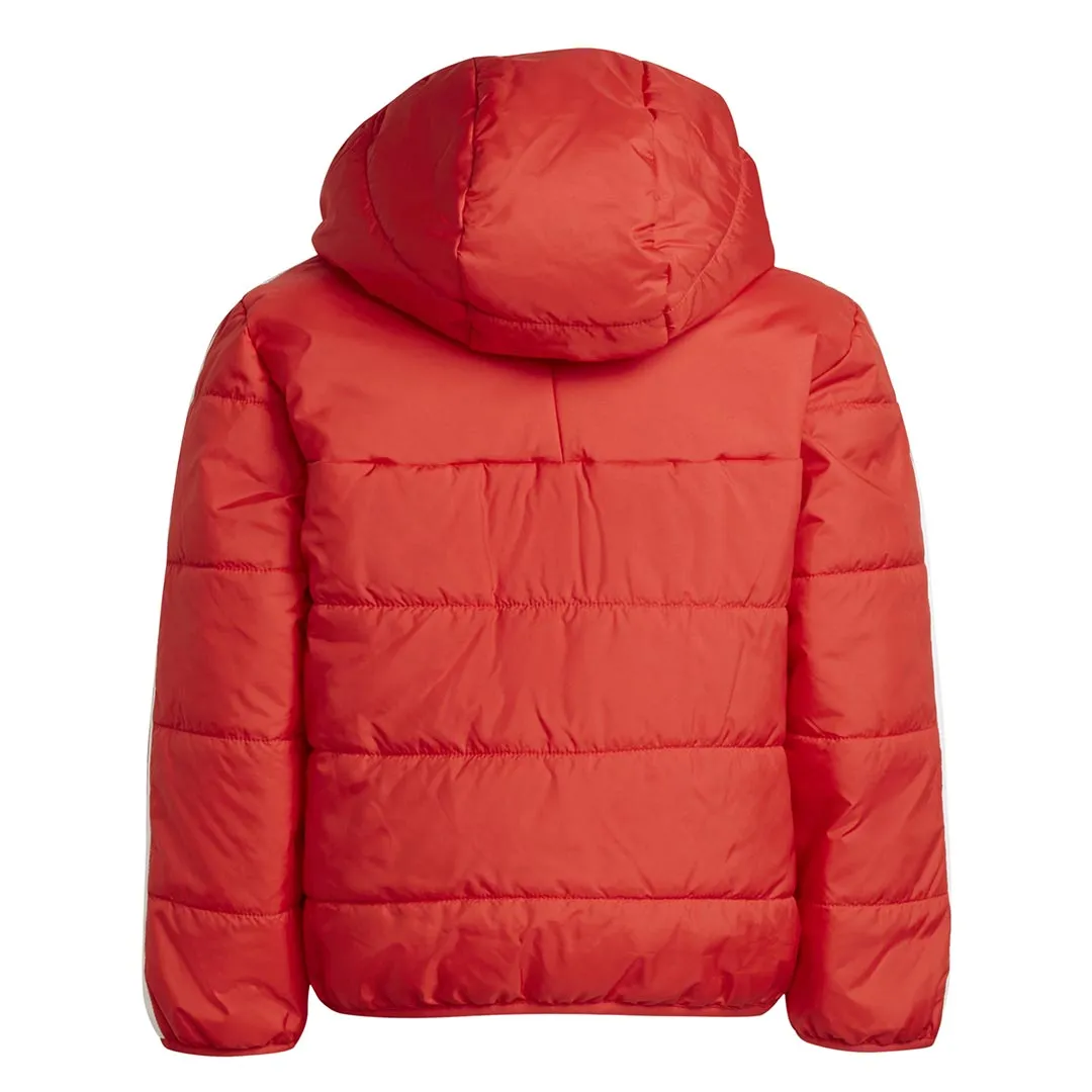 adidas - Kids' (Toddler & Junior) Adicolor Padded Jacket (HK2962)