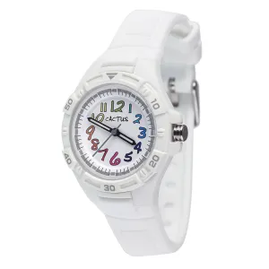 Cactus Rainbow CAC145M11 