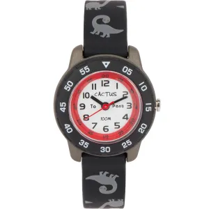 Cactus Time Teacher CAC124M01 Dinosaur 