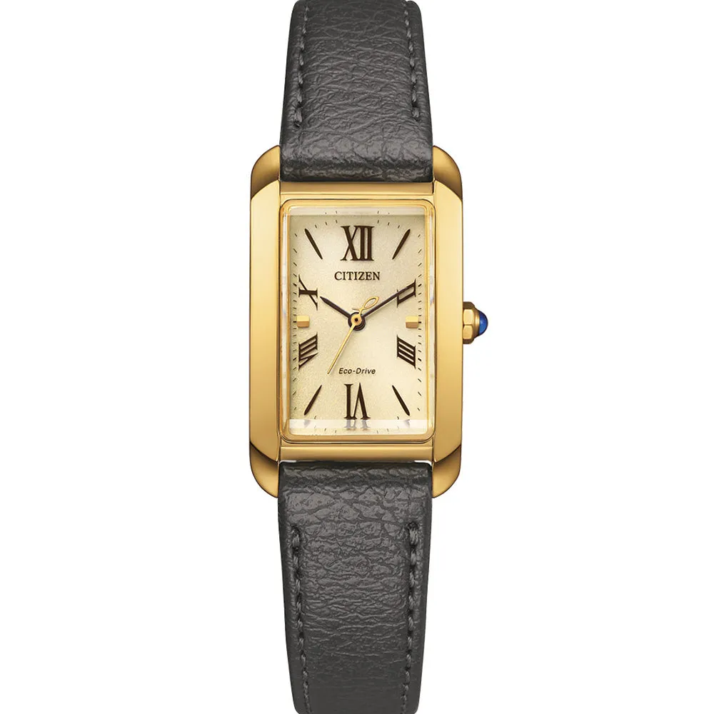 Citizen Eco-Drive EW5622-09P 
