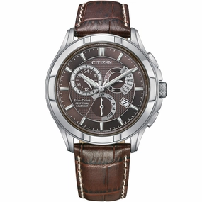 Citizen Eco-Drive BL8160-07X Perpetual Calendar 