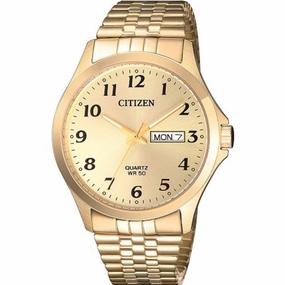 Citizen Quartz BF5002-99P 