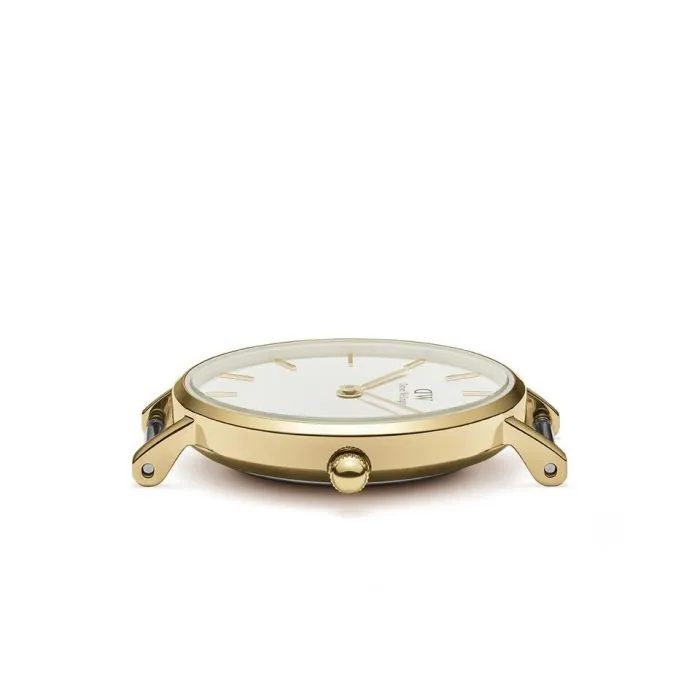 Daniel Wellington Petite Evergold DW00100350