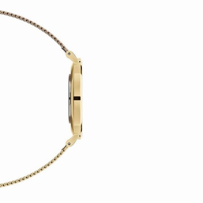 Daniel Wellington DW00100346 Petite Evergold