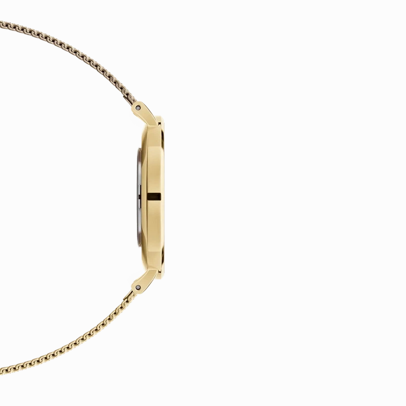 Daniel Wellington Petite Evergold Gold Watch 28mm