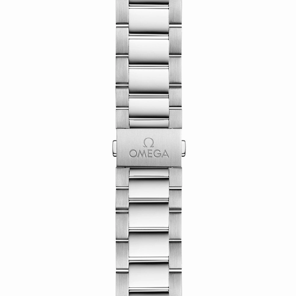 OMEGA Seamaster Aqua Terra 150M 41mm Summer Blue Dial Automatic Watch 22010412103005