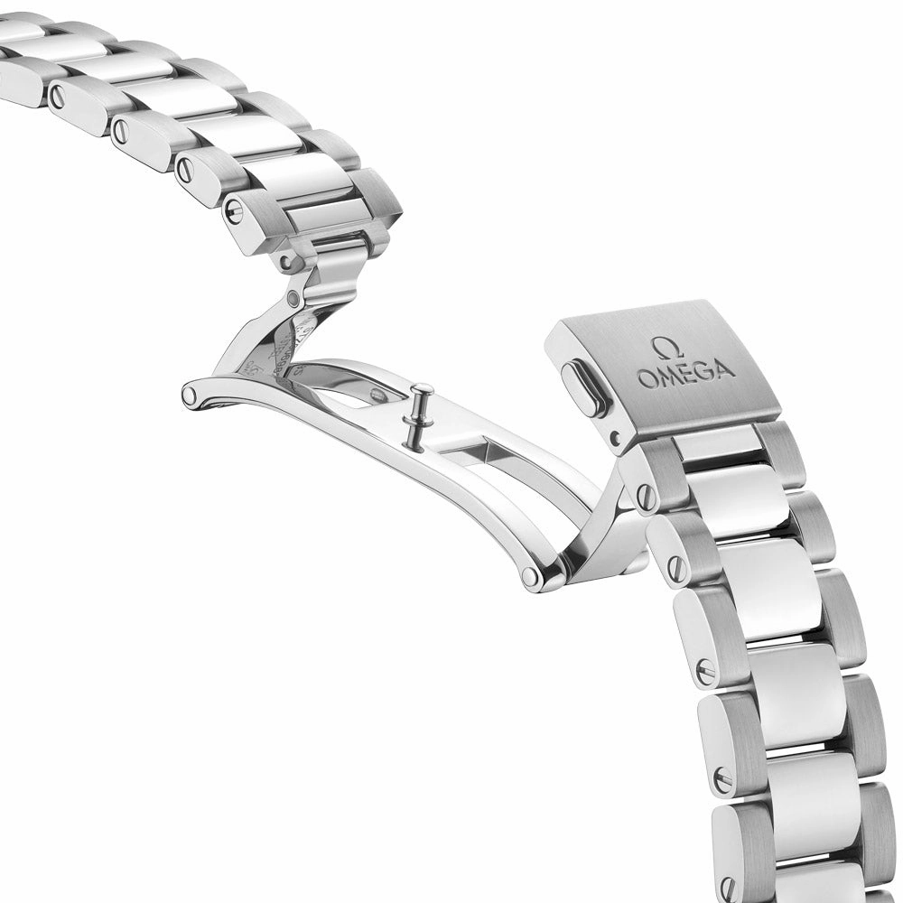 OMEGA Seamaster Aqua Terra 34mm Silver Dial Automatic Ladies Watch 22010342002002