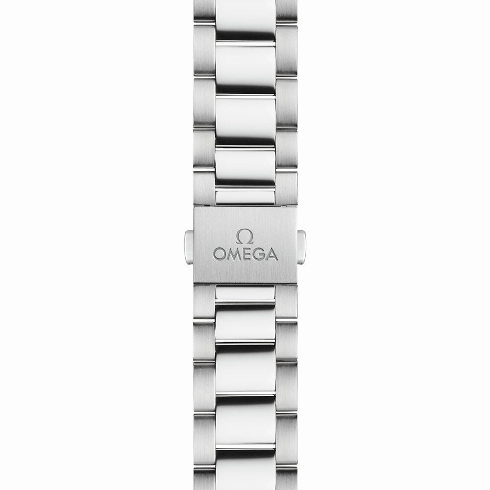 OMEGA Seamaster Aqua Terra 34mm Silver Dial Automatic Ladies Watch 22010342002002