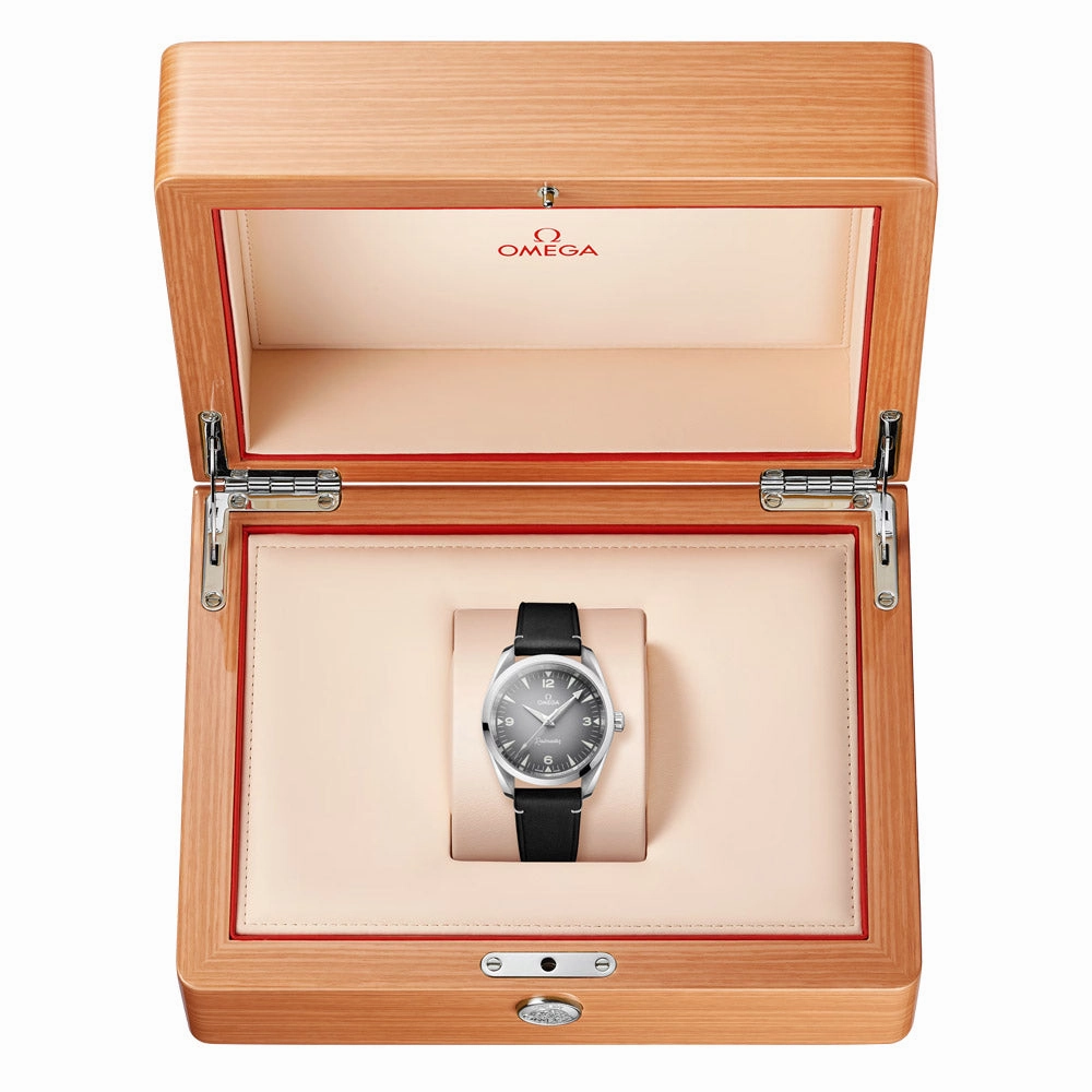 OMEGA Seamaster Railmaster 38mm Grey Dial Automatic Watch 23512382006001