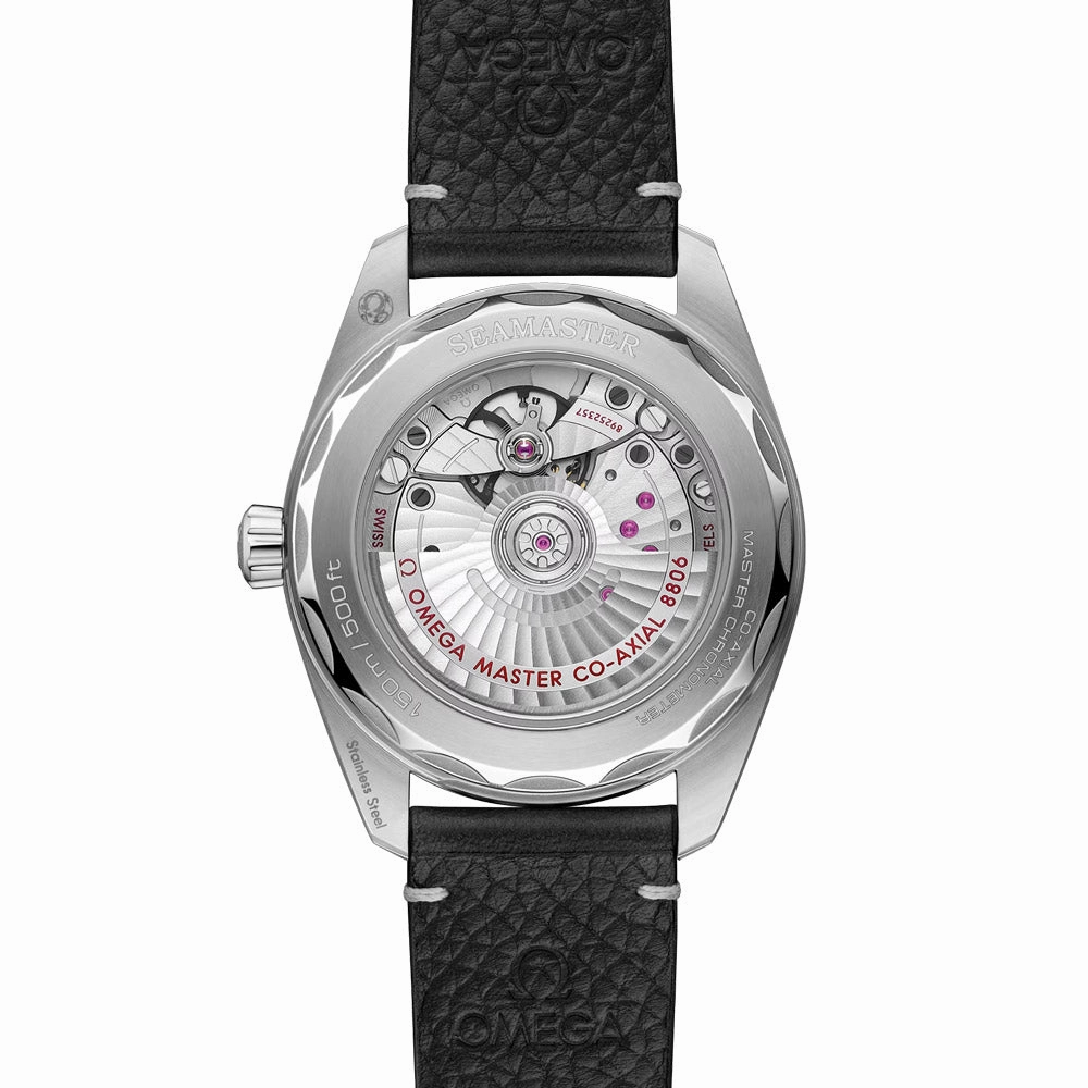 OMEGA Seamaster Railmaster 38mm Grey Dial Automatic Watch 23512382006001