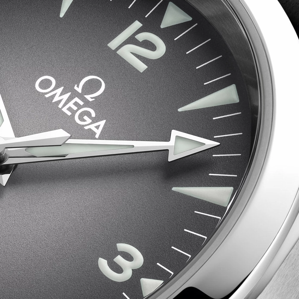 OMEGA Seamaster Railmaster 38mm Grey Dial Automatic Watch 23512382006001