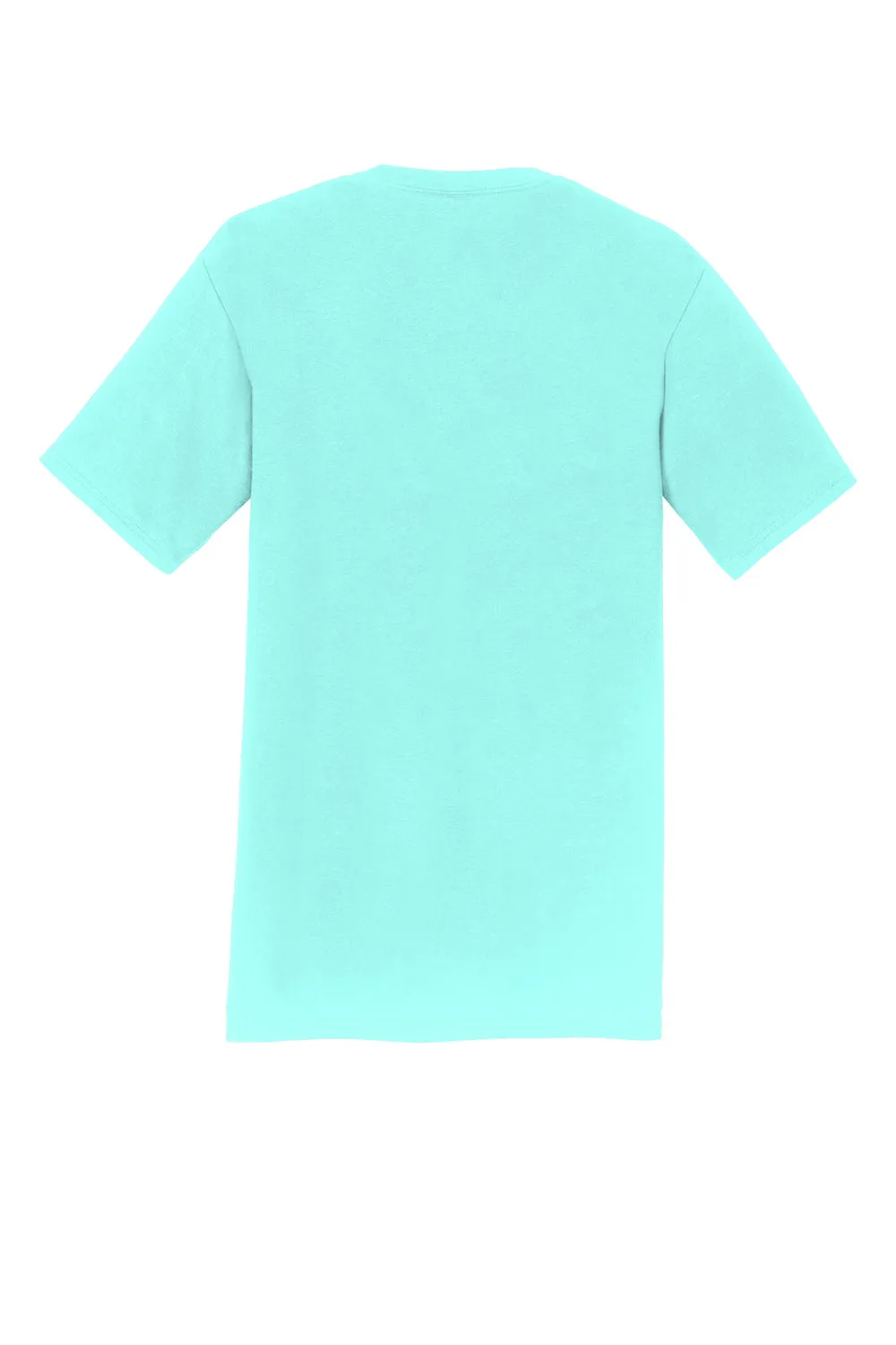 Port & Company Mens Fan Favorite Short Sleeve Crewneck T-Shirt - True Celadon Blue  Buy the latest Clothing Port-Company