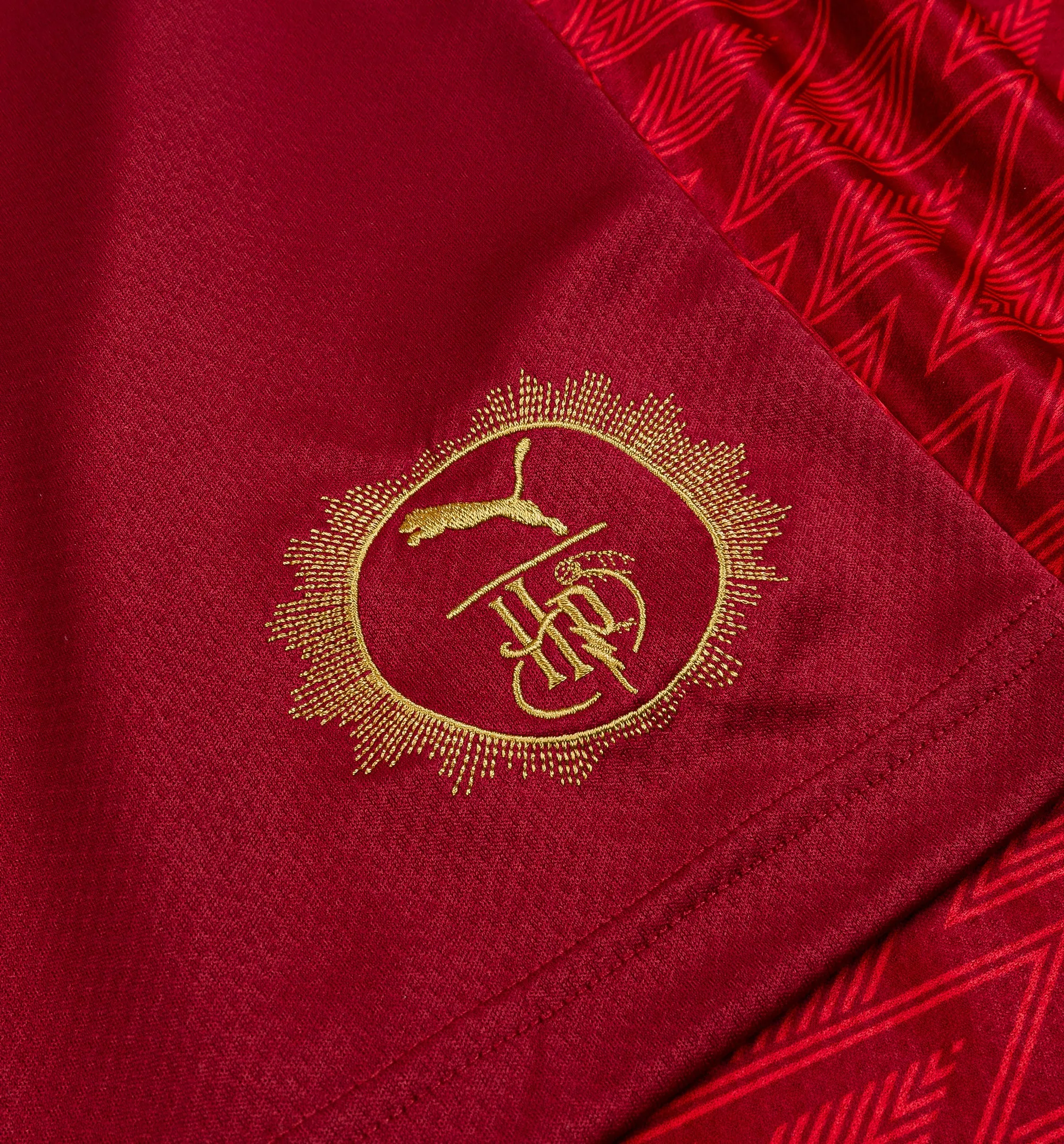Puma Clothing Harry Potter Gryffindor Relaxed Mens Jersey - Dark Crimson