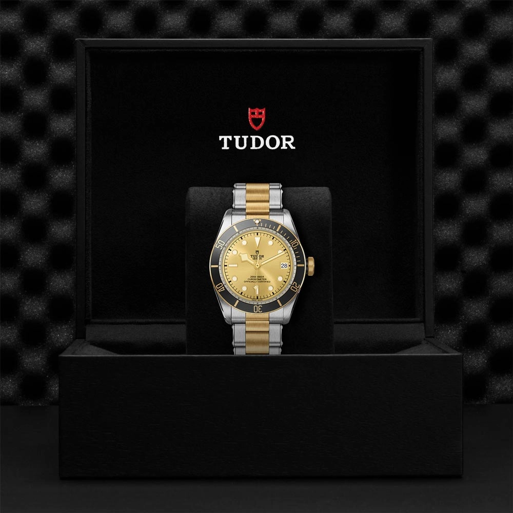 TUDOR Black Bay S&G 41mm Steel & Gold Gents Watch M79733N-0004